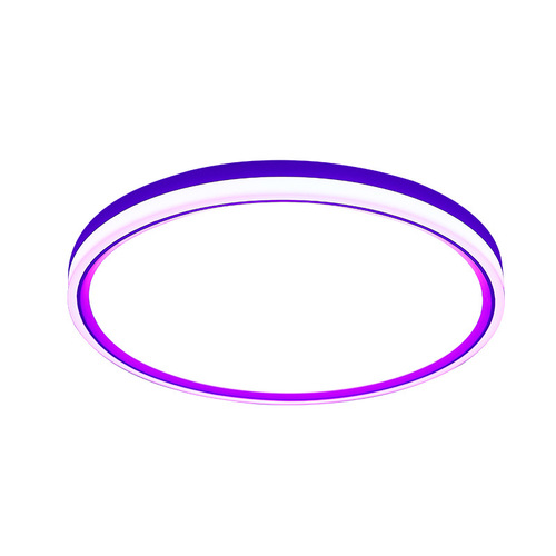 Smart Flush Mount Round Edge-Lit LED WIFI Bluetooth RGBCW Dimmable Color Changing Tuya Living Room Bedroom Lamp