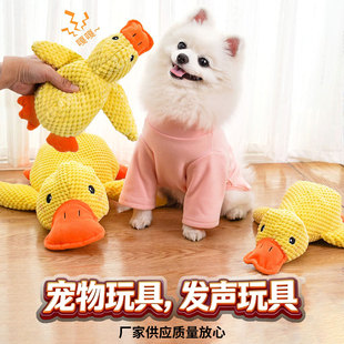 �ɐ��S���ӌ���ë�q�l�����������Ҏ�񹷹��≺ĥ����ż����