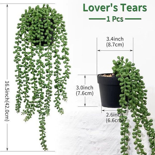 Lover tears