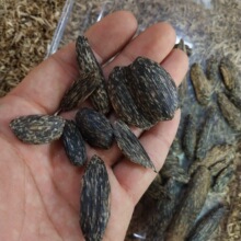 ���ϳ����x�۵��� ������Ȼ�����x©��ρ©������Ѭ ���������ִ�