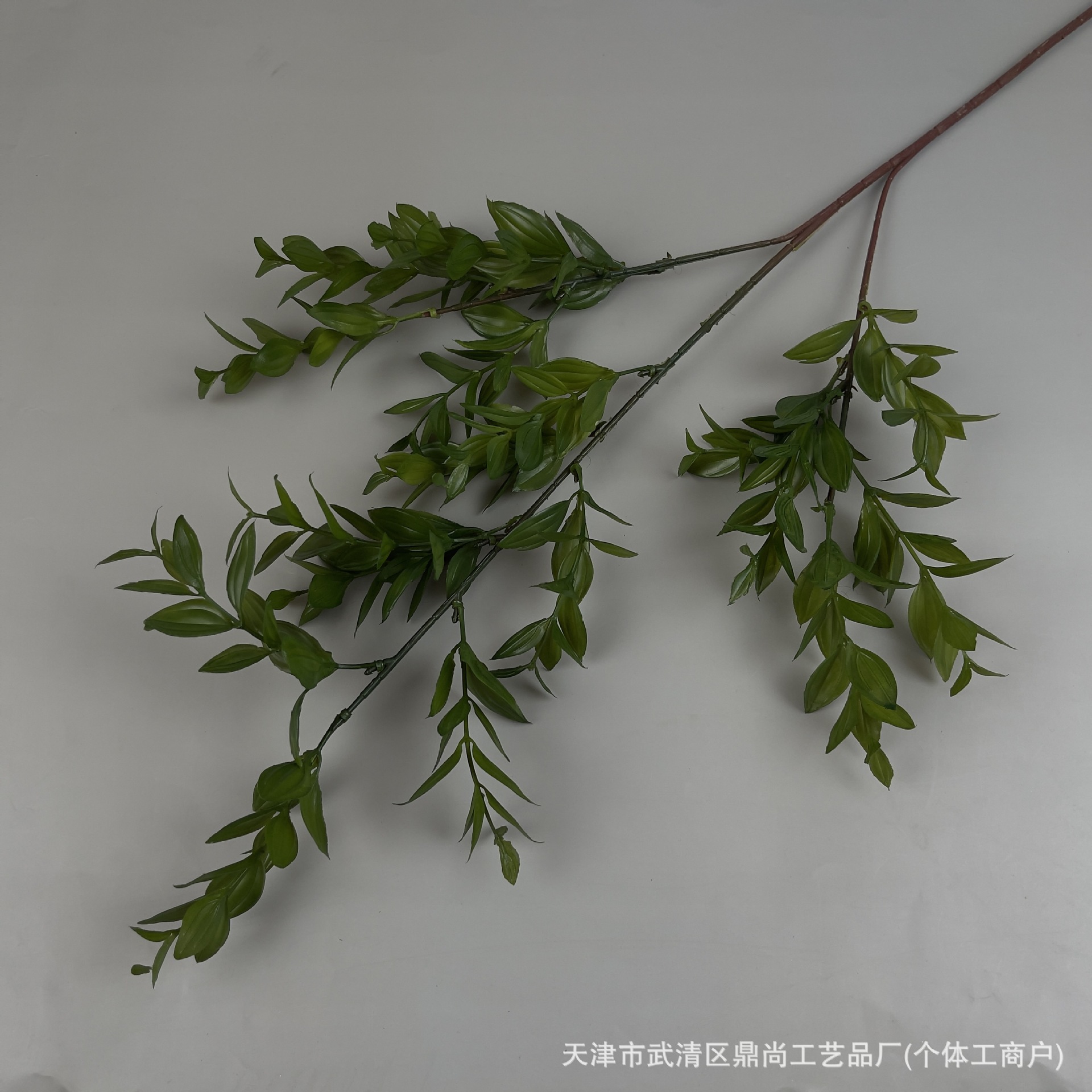 검정색 녹색