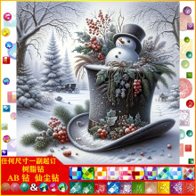 diy钻石画优质AB仙尘树脂钻5d满钻帽子雪人 装饰画厂家批发一件代
