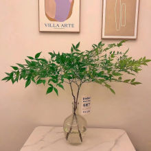 南天竹水培植物室内好养吊钟马醉木平替绿植水养居家桌面鲜切枝的