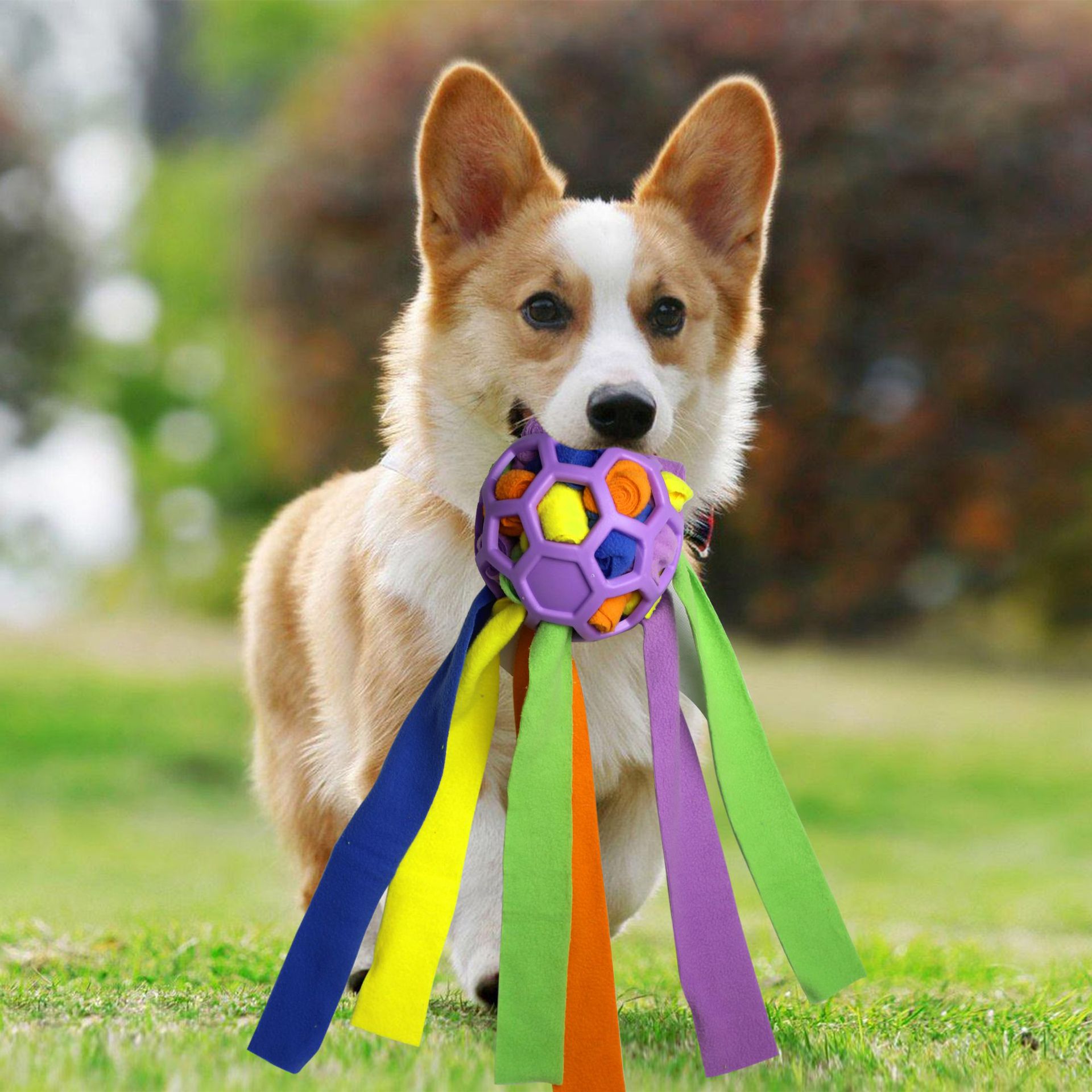 Haustierspielzeug, Schnüffelbälle für Haustiere, Blindbox für das interaktive Training mit Futterleckage für Hunde_voghion.com
