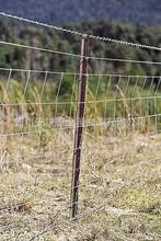 批发牛栏网 镀锌铁丝养殖围栏网 草原围栏网牛羊鹿农场养殖围栏网