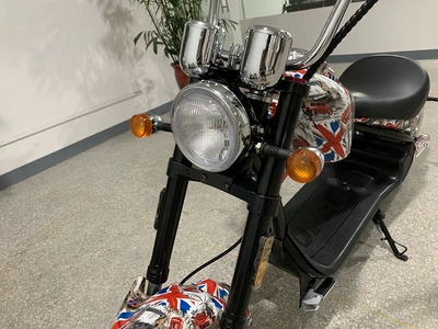 Direct electric Harley motorcycle: Elektrikli motosikletlər