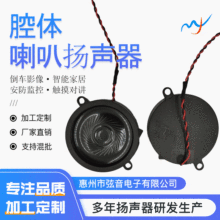 40���� �δ�ȫ�l���ܼҾ� �����O�؈A��ǻ�w���ȓP��