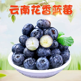 苹果;代用/养生茶;橙