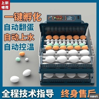 Corbett automatic Add water Incubators household small-scale fully automatic Incubator chick quail Incubators