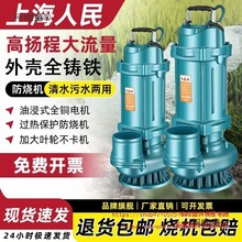 上海人民铁壳潜水泵3寸4寸清水泵220V农用灌溉高扬程排污泵麦太保