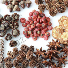 ~׃@diyɹľƬbMϸɻ}Qb[ɹ͹ŵ