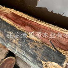 Դľ t̴ ͢t̴ 㻨 㻨 黨Ҿ߲