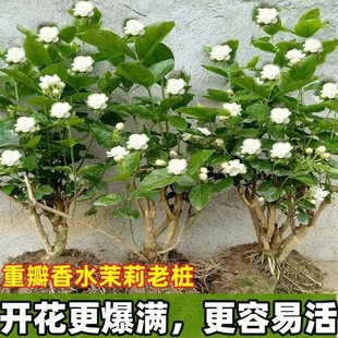 �M�h�ذ��������̨�������������Ϙ��ļ��GֲͥԺ��̨���B��