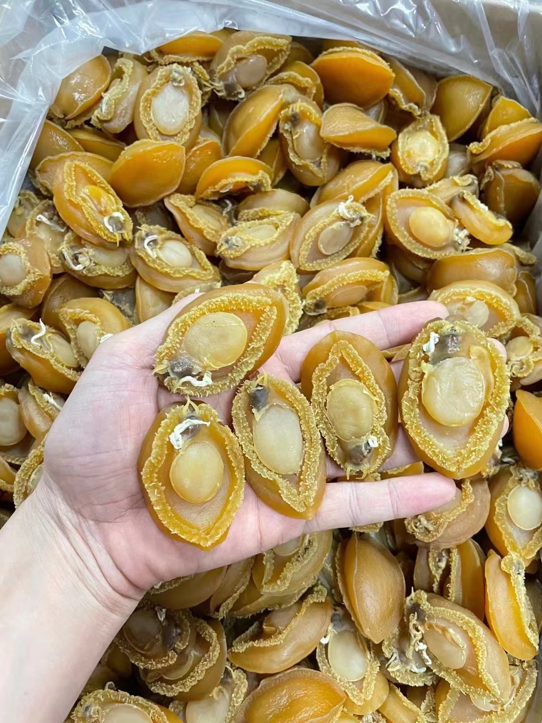 大连小鲍鱼干 (120頭/斤) Dalian Dried Baby Abalone (120pcs/500g) - YS Seafood 渔乡 ...