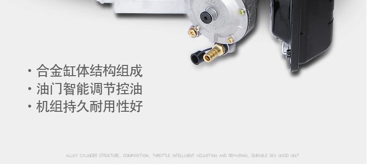 Gasoline Generator 220V Single-Phase 3Kw/5Kw/6Kw/8Kw/10Kw 12Kw Three-Phase 380V Wholesale