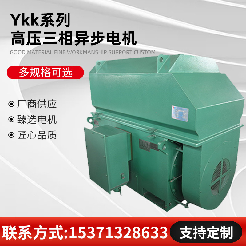 高压电机YKK3552-2 250KW 6KV王牌电机