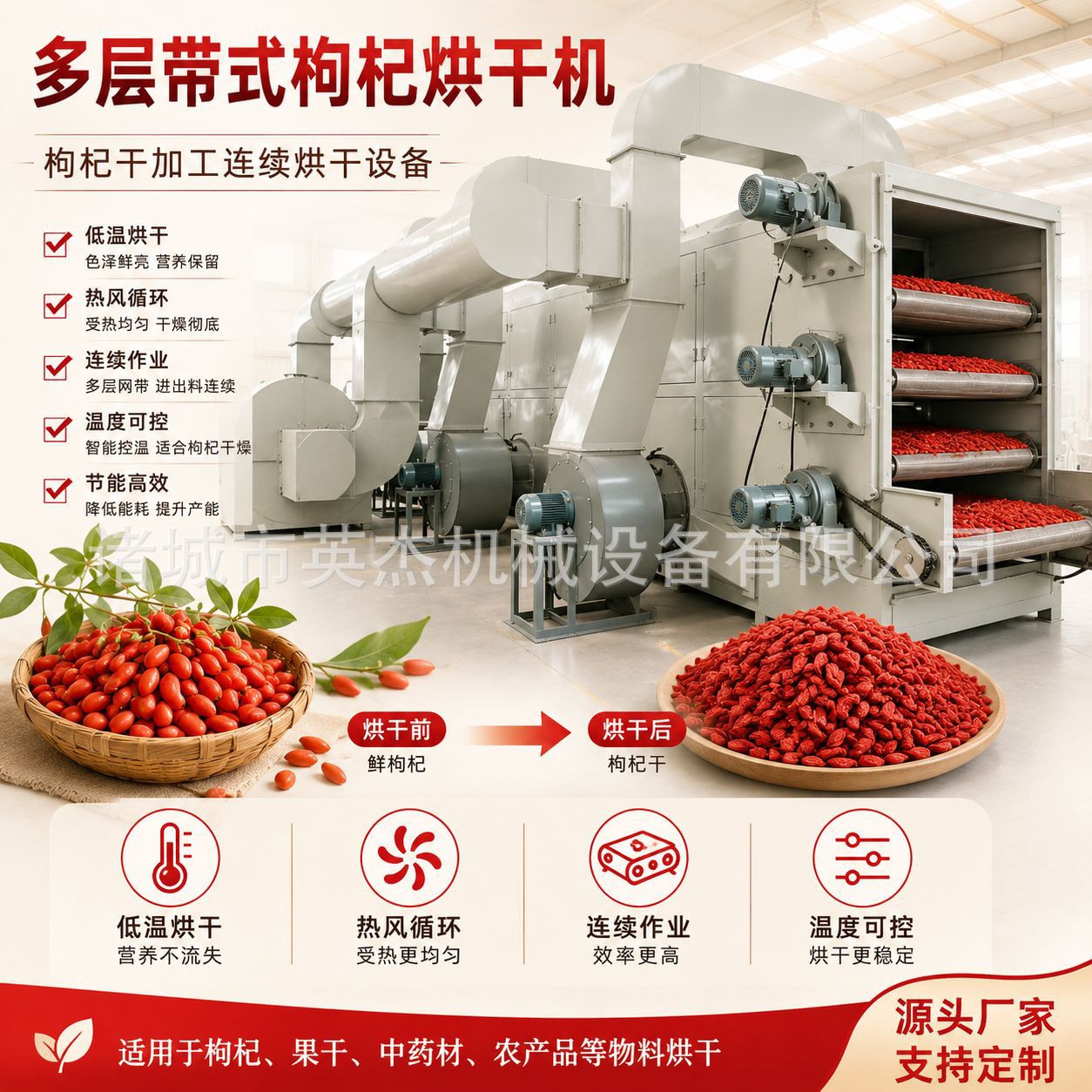 Manufacturer of Multi-Layer Belt-Type Hot Air Circulation Continuous Drying Equipment for Processing and Drying Goji Berries