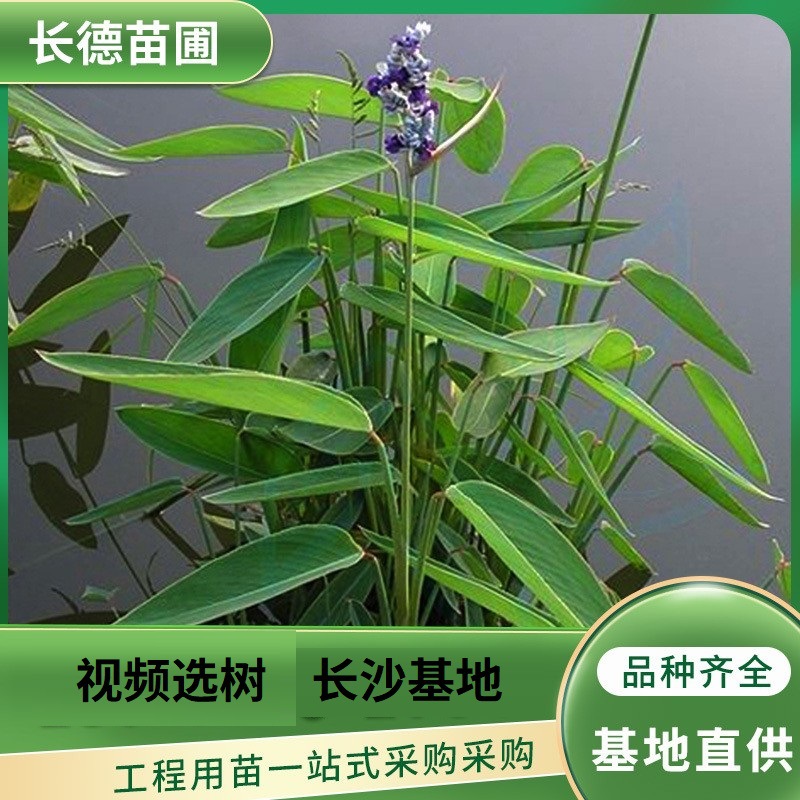 O1CN01htTGAX2IkRhHs3xQL_!!2200