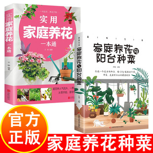 ���ü�ͥ�B��һ��ͨ�ʈDԔ�⻨���B�o֪�R�B���̳̻���֪�R��B��