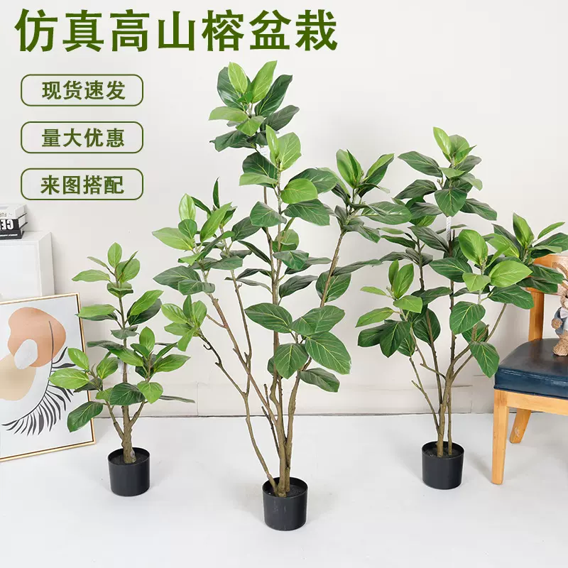 新款轻奢仿真绿植假花树室内客厅落地装饰大型植物高山榕假树盆栽