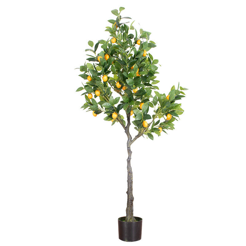 Árbol de limón 160cm