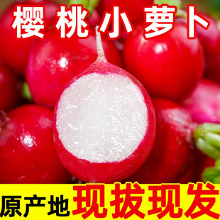 ���r�����}��5��t������ˮ��С�t�}���t��������H�����}���߲�
