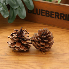 �}�Q���b�Ʒ �}�Q���b��� С�Y���}�Q���b�ɫ��KС���