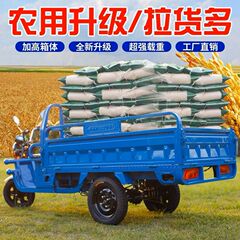 电动三轮车拉货载重王电瓶车农用车电瓶三轮车快递车摆摊车新国标