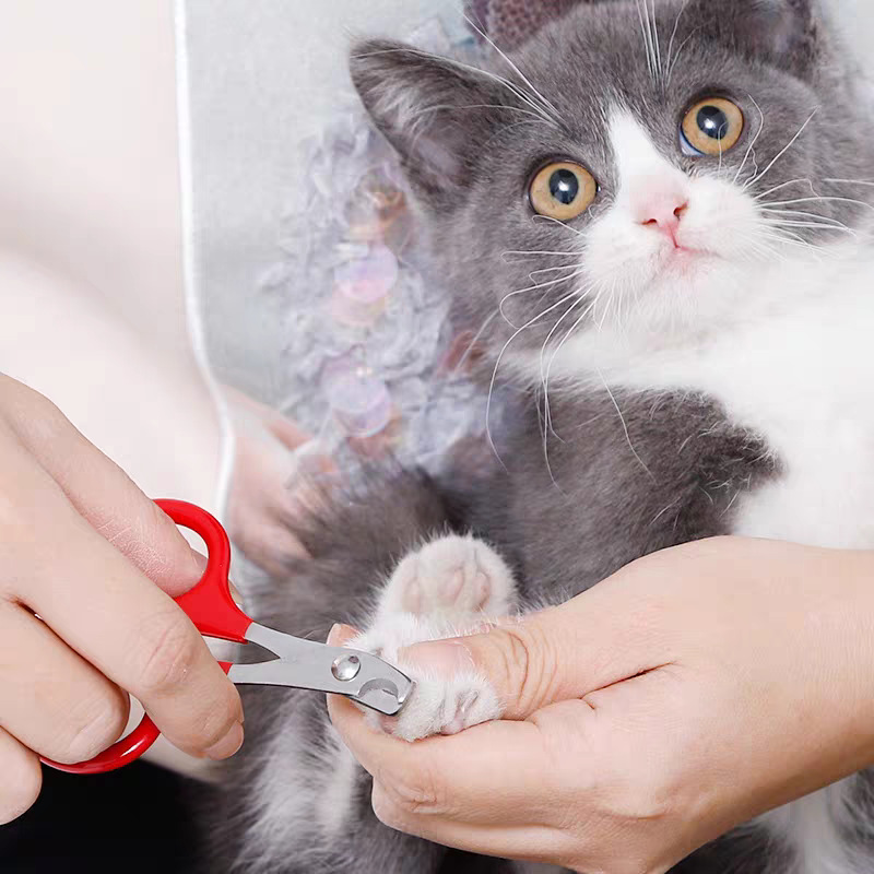 Cortaúñas para mascotas Cortaúñas para gatos de acero inoxidable con rectificador de uñas para mascotas Cortaúñas para mascotas Suministros esenciales para gatos