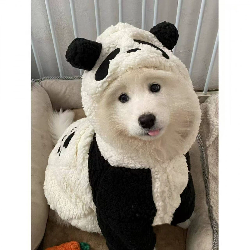 2025 Большой собачий костюм для золотистого ретривера, бордер-колли, самоеда, теплый уличный дизайн, предпочтительный комфорт