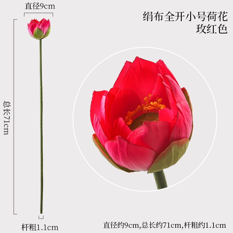 천 연꽃 풀 오픈 트럼펫 로즈 레드