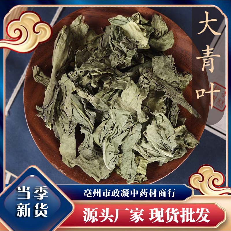 大青叶中药材500克大青叶茶克打大青叶粉新货蓝菜 板蓝根叶子