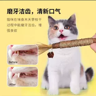 Teether, mint toy, cat, pet, getting rid of boredom