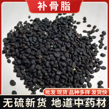 补骨脂 破故纸黑故子胡韭子破故纸 补骨鸱质量保障 补骨脂