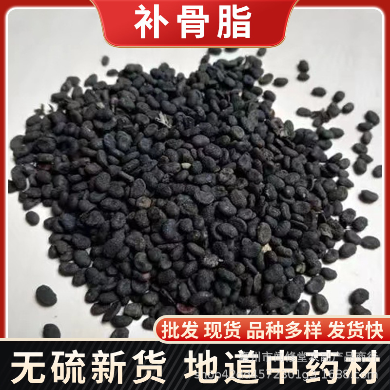 补骨脂 破故纸黑故子胡韭子破故纸 补骨鸱质量保障 补骨脂