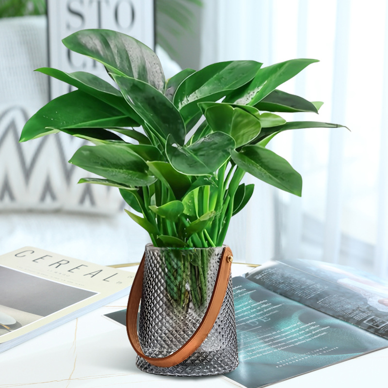 고급 대형 금다이아몬드 3개(재가방) + 수정머드 + 영양액