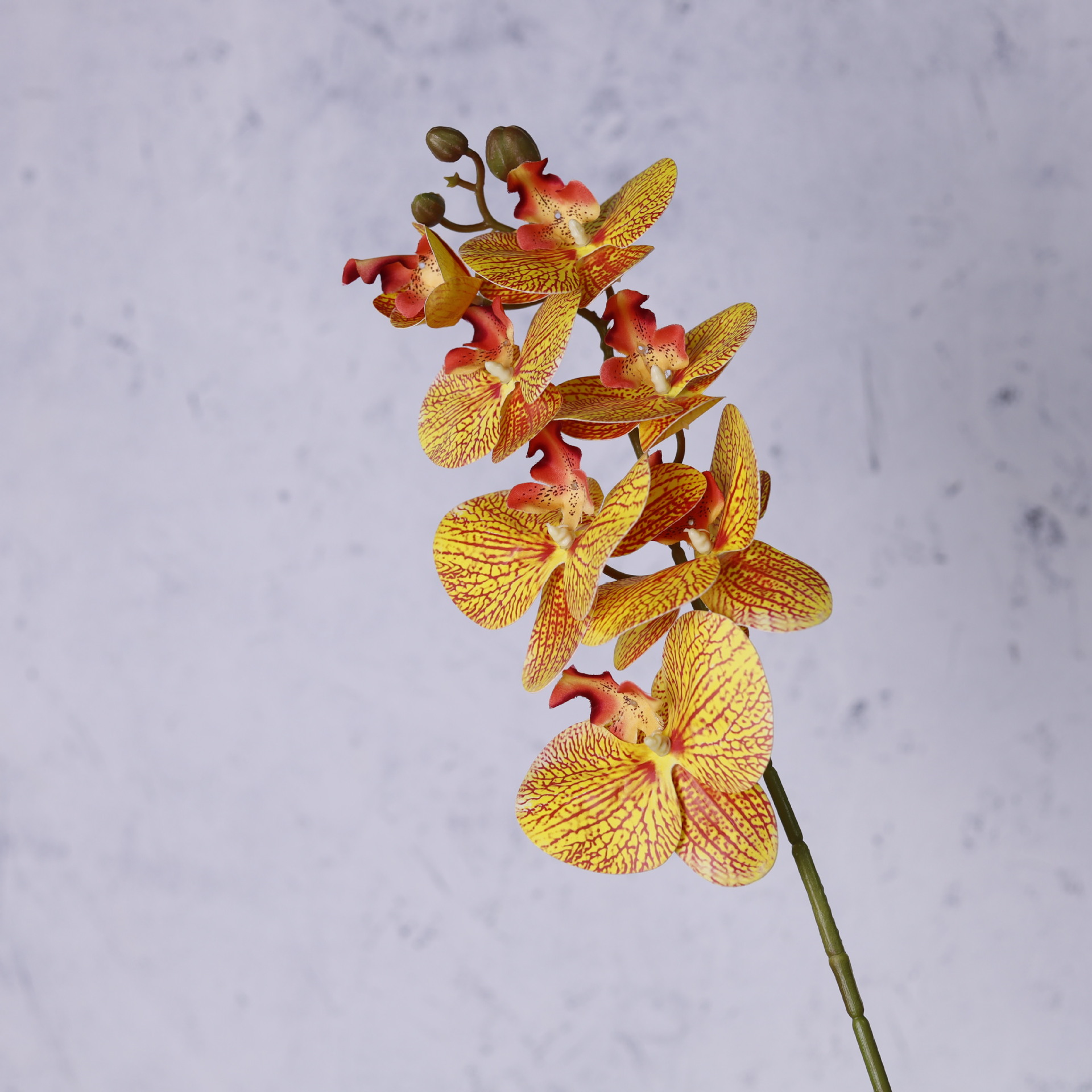 Impresión 3D de 7 cabezas de orquídeas mariposa flor de decoración de flores de alto nivel flor de nicho decoración floral decoración de sala de estar