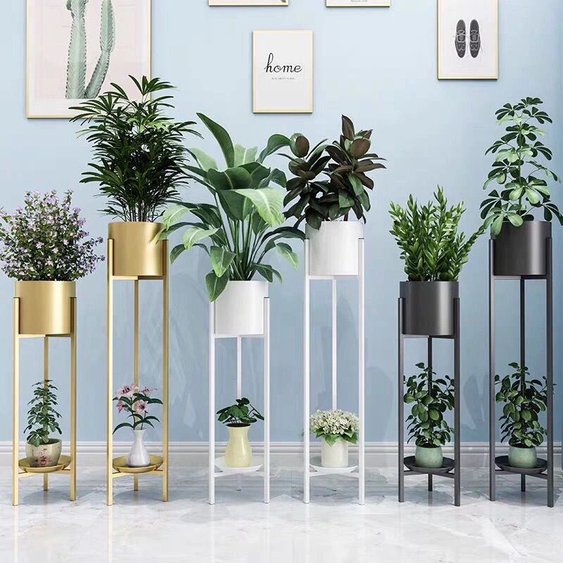 Shelf Rack