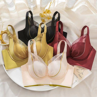 2024�¿�o�۾W���к��ʹ��o�Ȧ��Ħ���¾۔n����͸���Ը�����