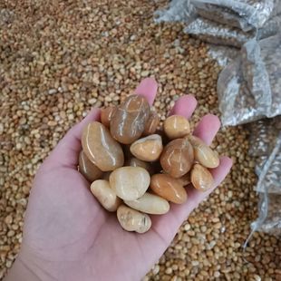 Rain Flower Stone Pebbles Succulent Courtyard Paving Small White Stone Fish Tank Flower Pot Decoration Gardening Colorful Rain Flower Stone