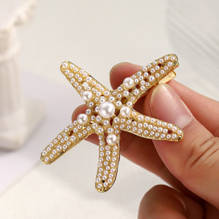 �W���羳���u��������l�A���|�ٴ��荰l���lצ�ɹ��h���z�y