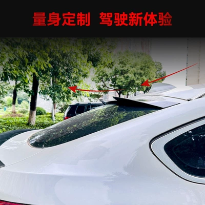 small tail wing fixed wind – Fixed wind wing