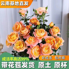 ���ֱ�l�W�¼������֭�̨������ͥԺ���Ի��@�����ļ��辰