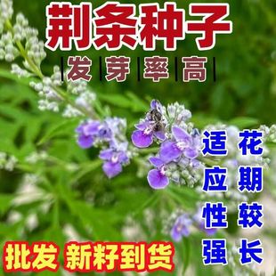 �G�l�N��ĵ�G��ָ�L��ָ������ɽ�S�G���S������Դ�G���G�l��N��