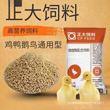 小鸡饲料正大鸭鹅鹦鹉八哥钓鱼颗粒开口食料高蛋白一件批发