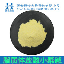 脂质体盐酸小檗碱50%70%磷脂包裹黄连黄柏提取物包邮脂质体小檗碱