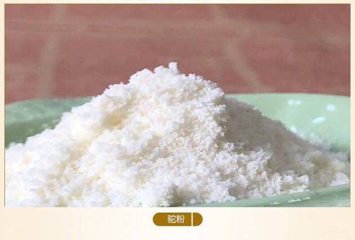 Camel Milk Probiotic Protein Powder for Adults, Middle-Aged, Students - Camel Milk Supplement, Meal Replacement Powder, Gift Nutrition Powder, Live Stream Supply Source