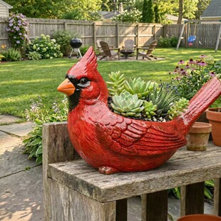 Cardinal Bird Succulent Planter �t���B���� ��֬��������b�