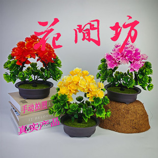 �羳������������ʯɏ����ɫ���滨�ٻ����컨�E�Aӭ���ɱ����ϻ�