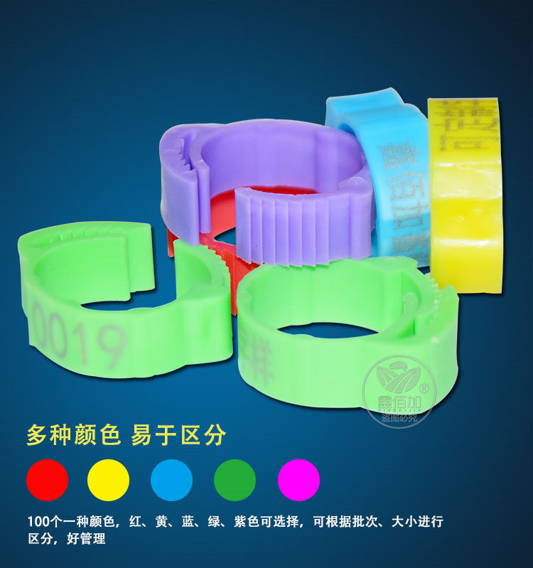 鸡脚环可调BA详情页 (3).jpg